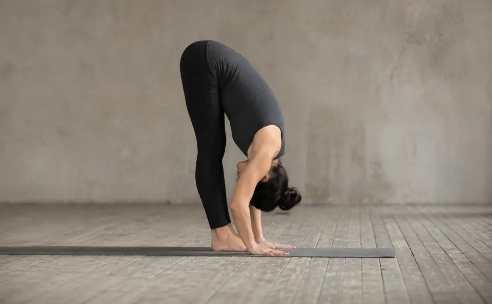 Hasta Padasana - Standing Forward Fold Hasta Padasana - Standing Forward Fold