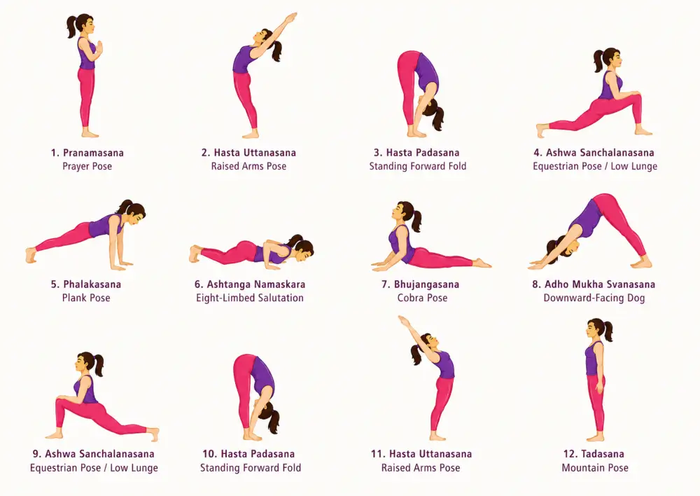 Surya Namaskar Asanas at a Glance Surya Namaskar Asanas at a Glance