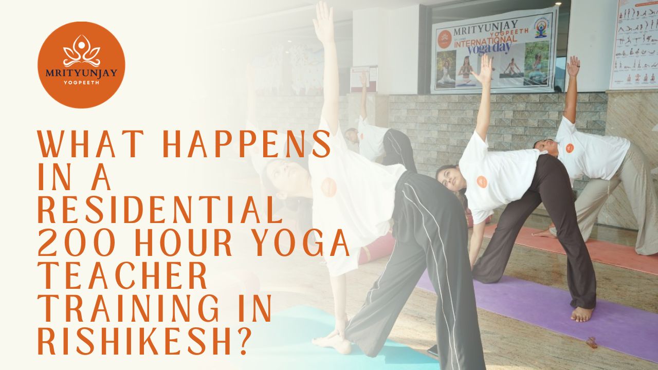 What Happens in a Residential 200 Hour Yoga Teacher Training in Rishikesh