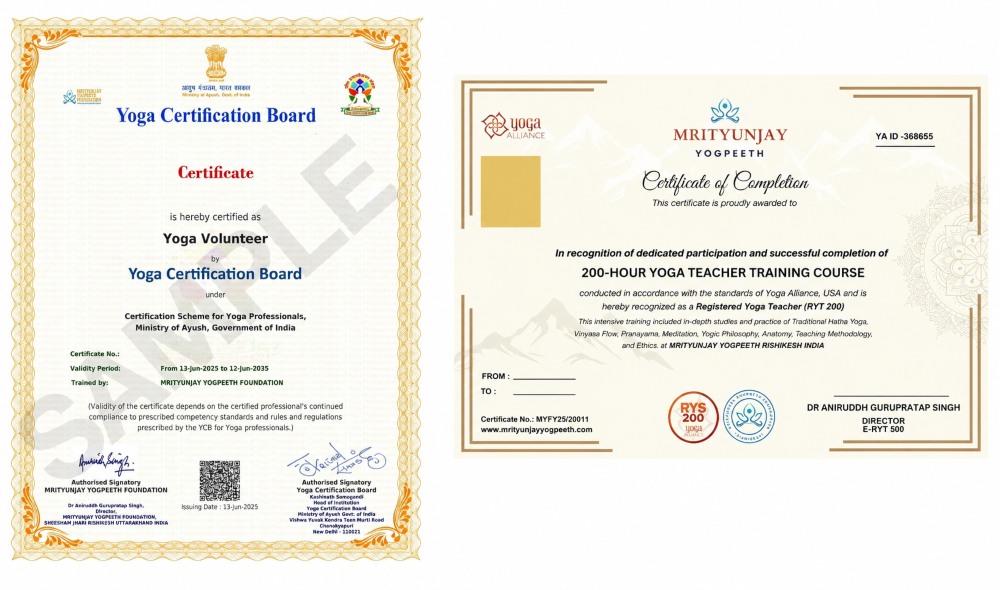 Yoga Alliance or YCB: Which Certification Path Is Right Yoga Alliance or YCB: Which Certification Path Is Right