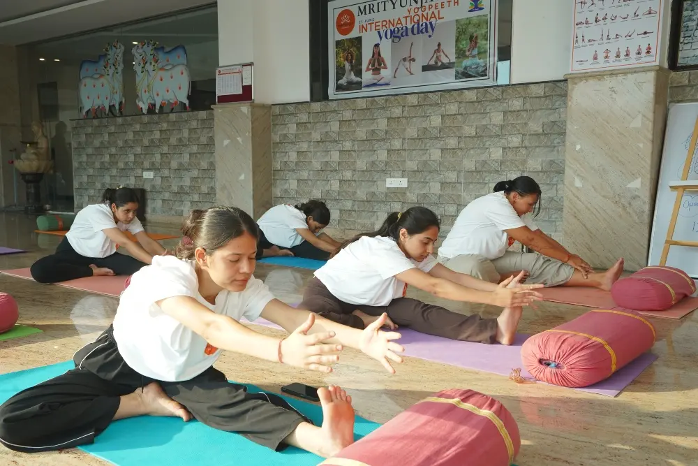 students practicing yoga during a training session students practicing yoga during a training session