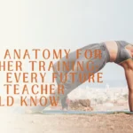 yoga anatomy for teacher training