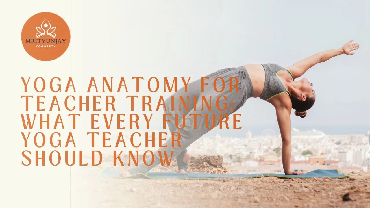yoga anatomy for teacher training
