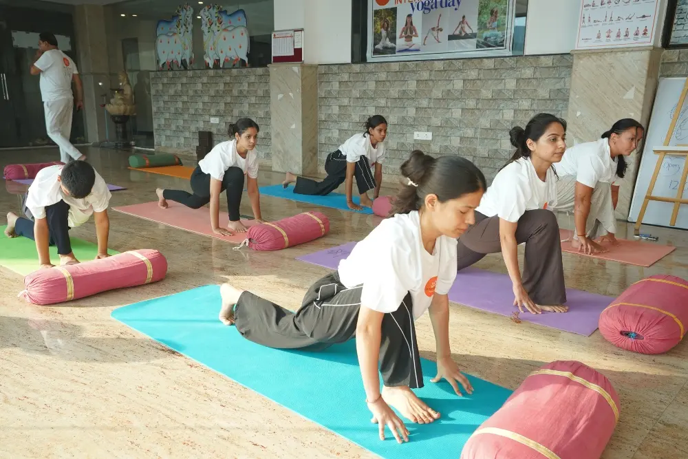 yoga students practising lunges during a yoga training session at mrityunjay yogpeeth