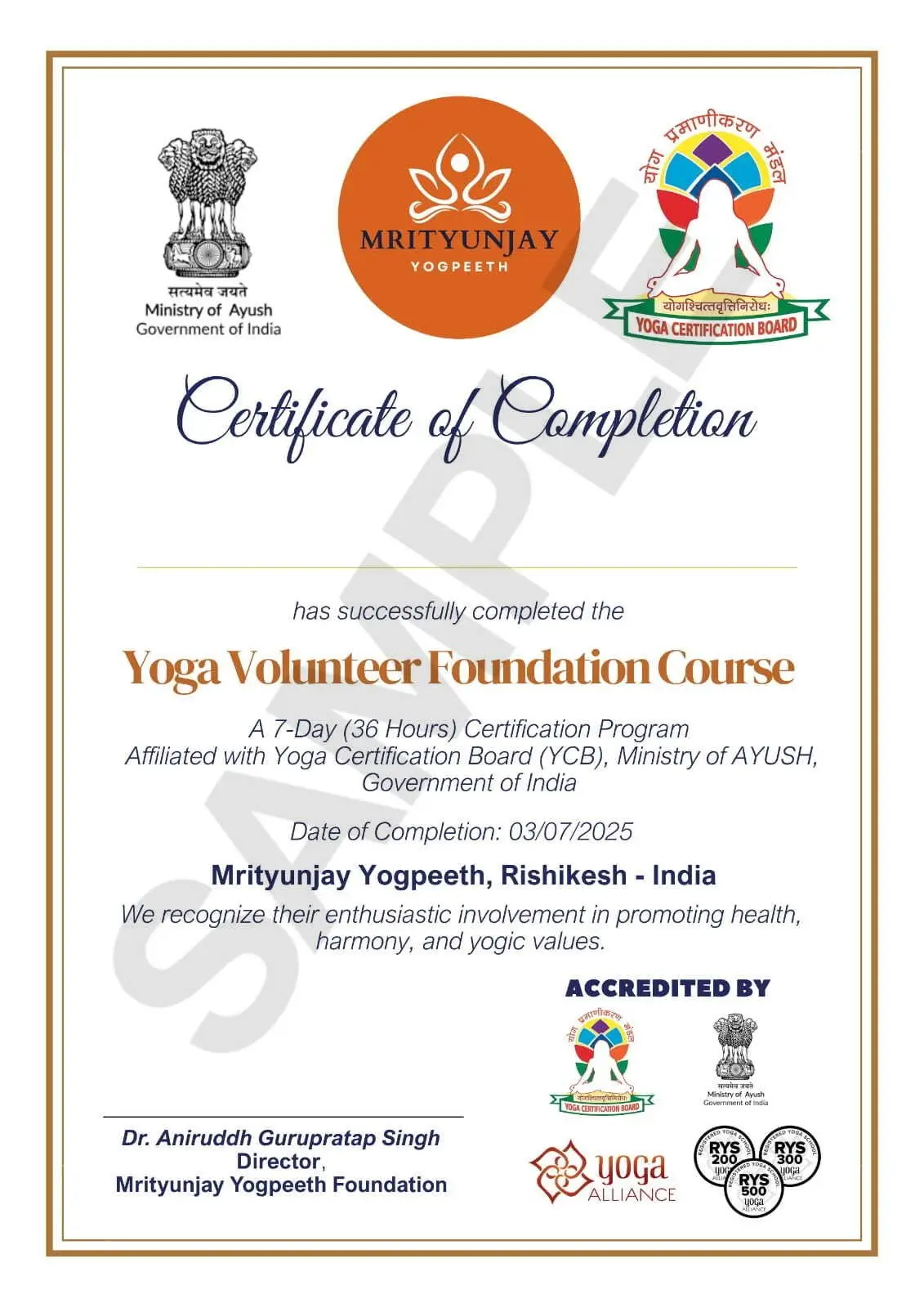yv yoga volunteer certificate